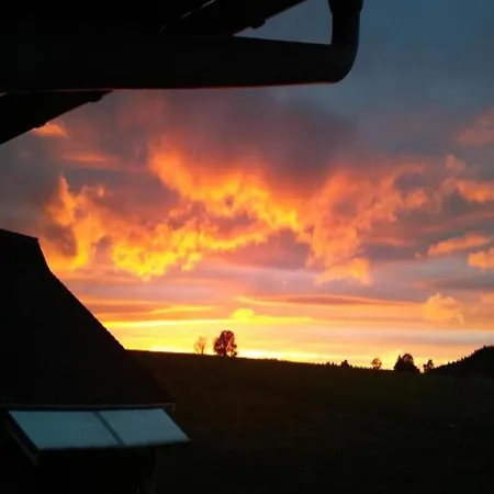 In Im Schwarzwald *