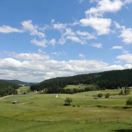 In Im Schwarzwald *