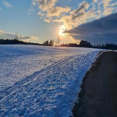 In Im Schwarzwald